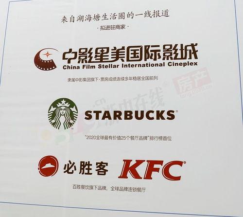 金华最新爆料,揭秘城市变迁背后的故事