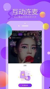 菲米尼爆料视频大全集,揭秘幕后真相与惊人内幕